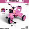 TRICICLO METALICO  ( CDE )