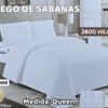 SABANA BLANCA AMERICANO QUEEN  ( ASU )