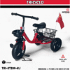 TRICICLO  ( CDE )