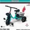 TRICICLO  ( ASU )