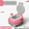 BACIN MUSICAL  ( ASU )