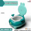 BACIN MUSICAL  ( CDE )