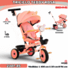 TRICICLO TEDDY RS